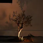 Mitos Ultimate Escape Galanado