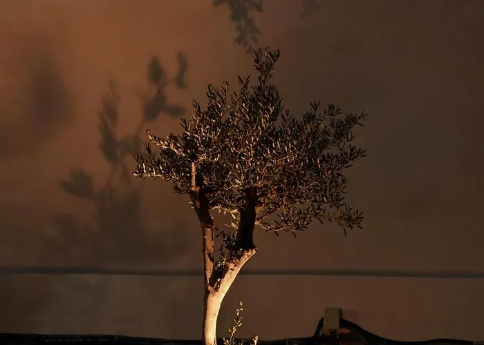 Mitos Ultimate Escape Galanado